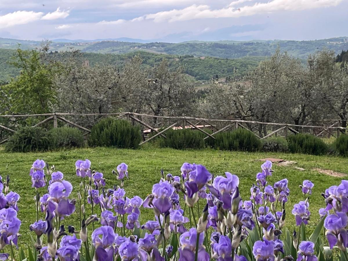 Il Fiorino Di Badia Διαμέρισμα Badia A Passigano Εξωτερικό φωτογραφία