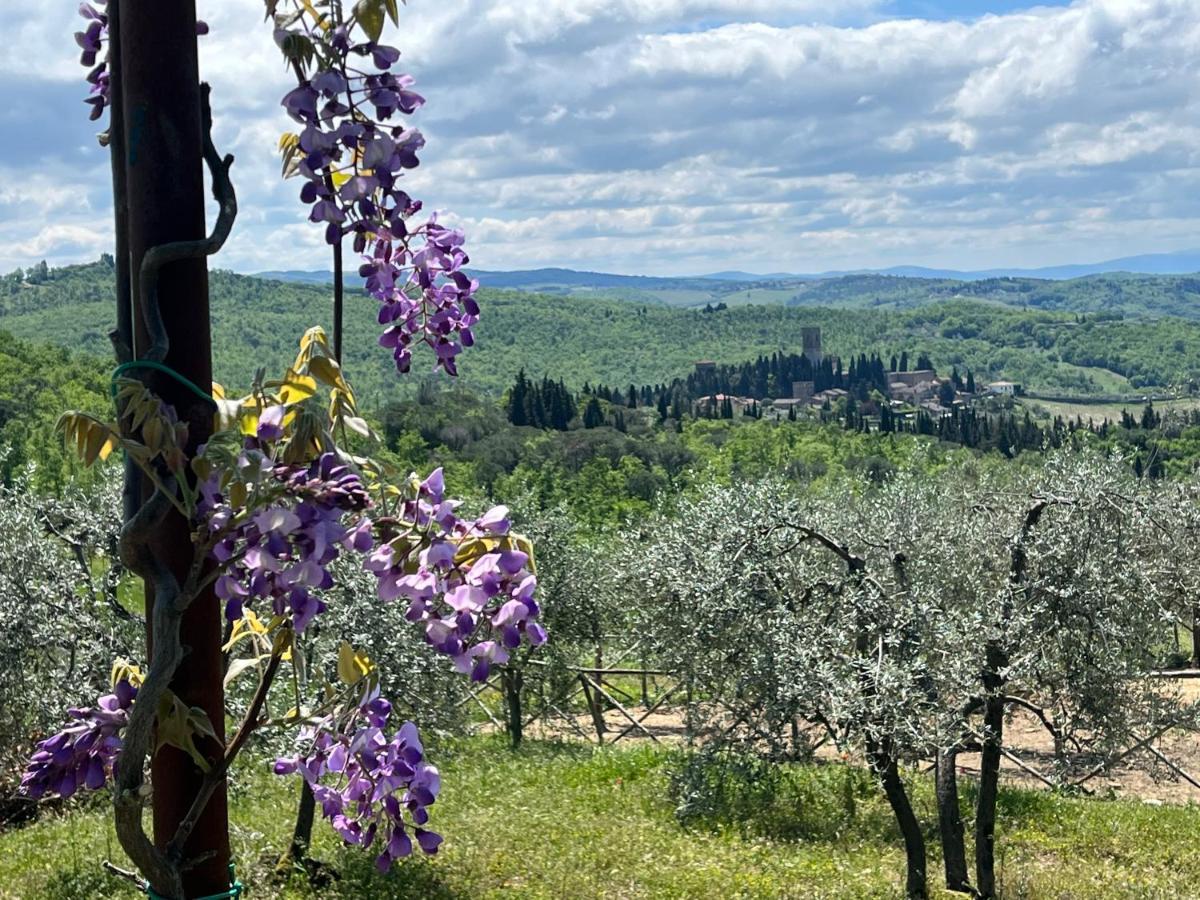 Il Fiorino Di Badia Διαμέρισμα Badia A Passigano Εξωτερικό φωτογραφία