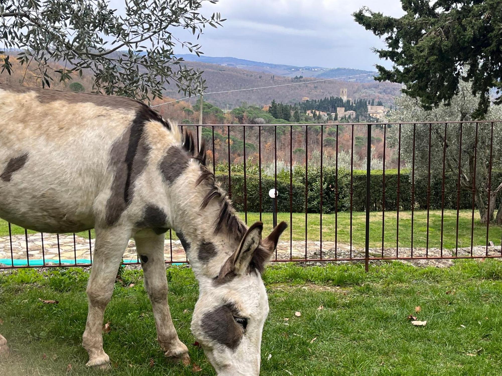 Il Fiorino Di Badia Διαμέρισμα Badia A Passigano Εξωτερικό φωτογραφία