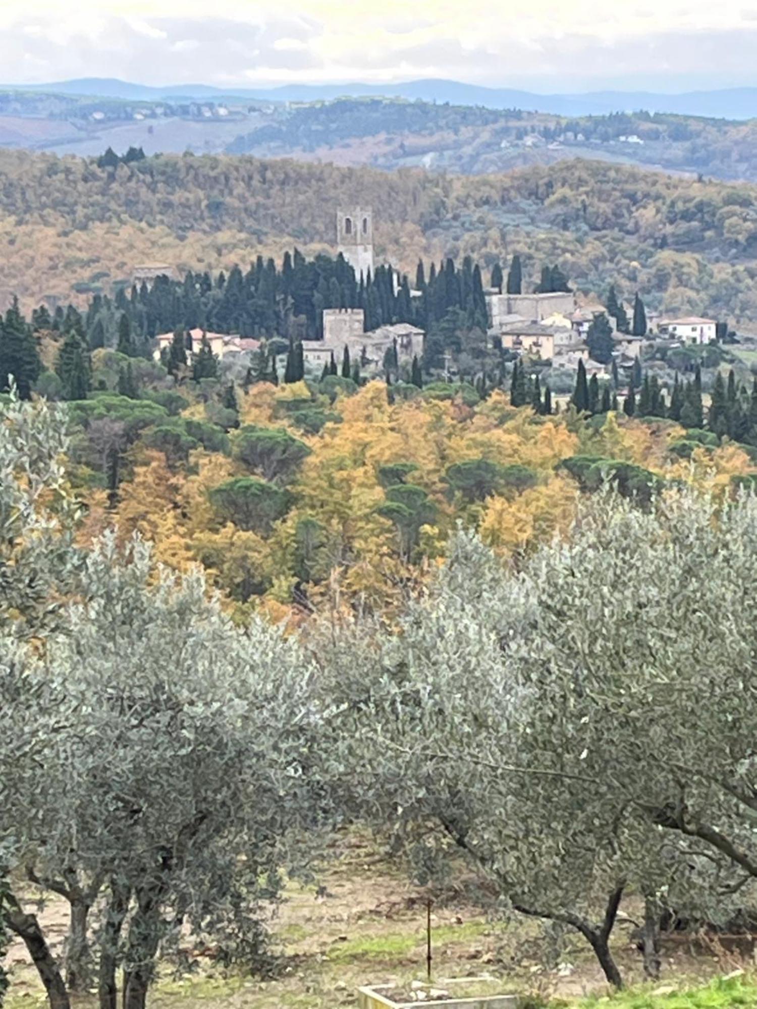Il Fiorino Di Badia Διαμέρισμα Badia A Passigano Εξωτερικό φωτογραφία