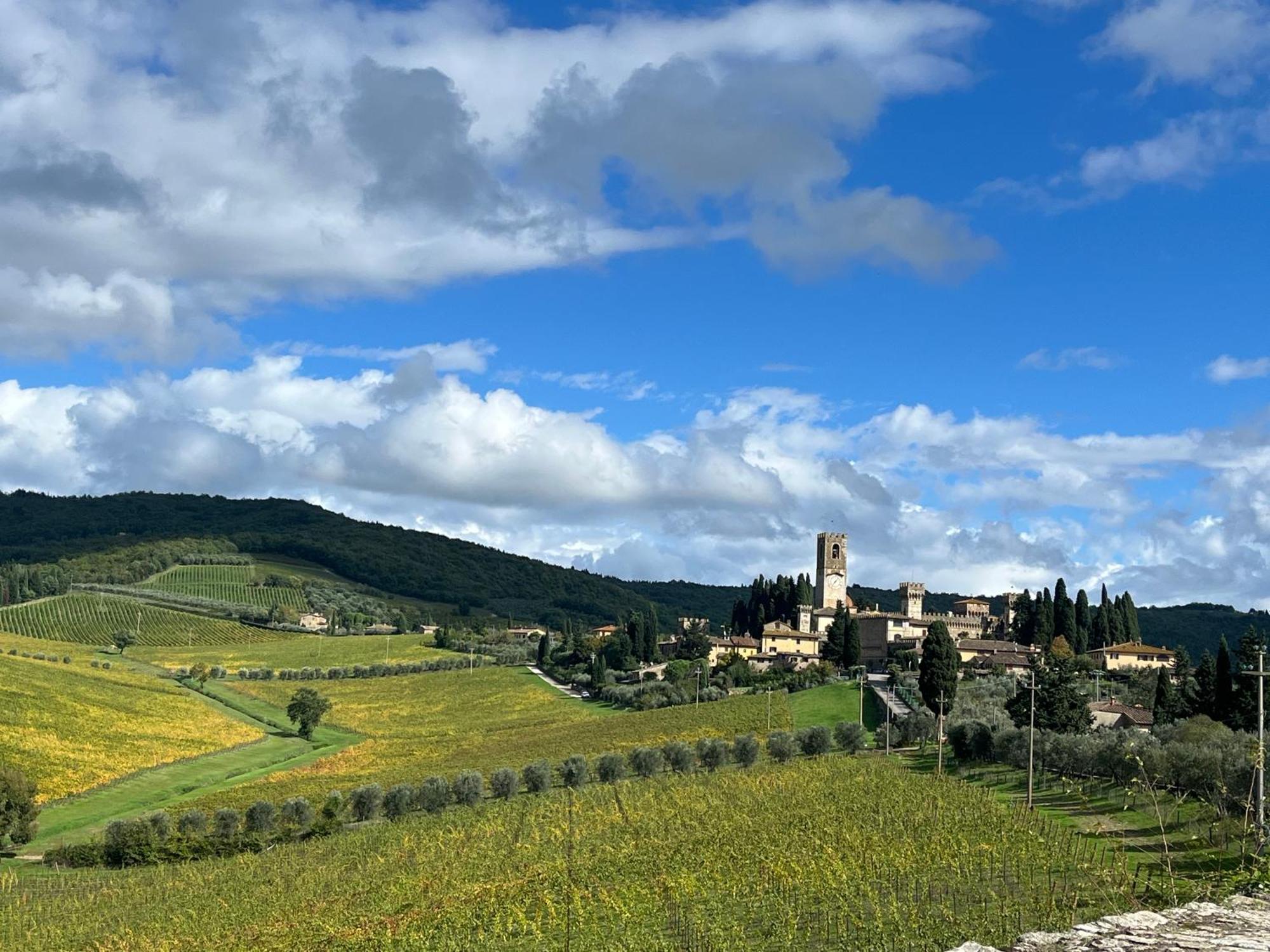 Il Fiorino Di Badia Διαμέρισμα Badia A Passigano Εξωτερικό φωτογραφία